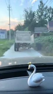 🤣 开成啥样了