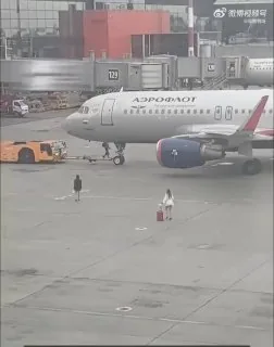 一看就是全国可飞