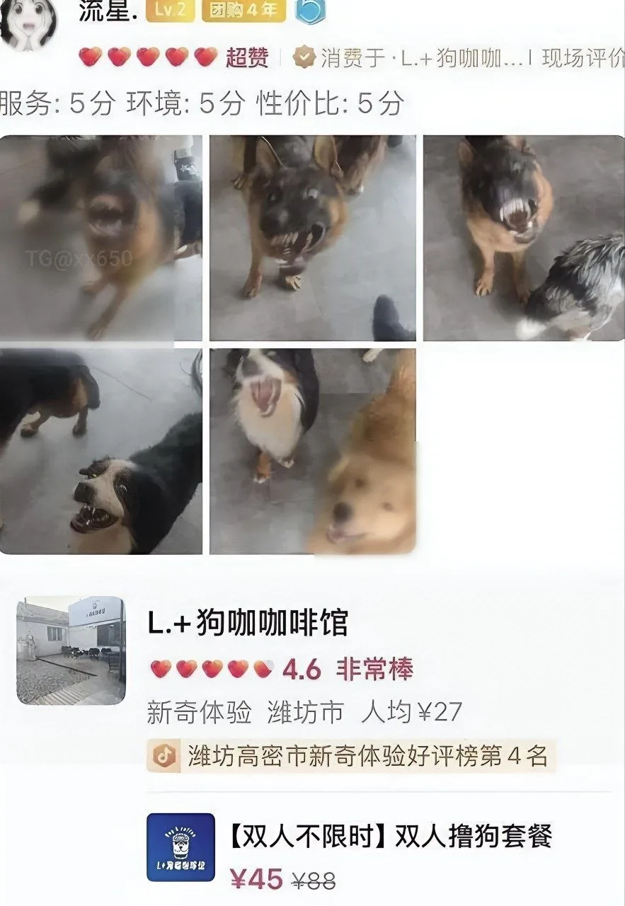 商家好无力，毕竟他给的是好评              ⠀