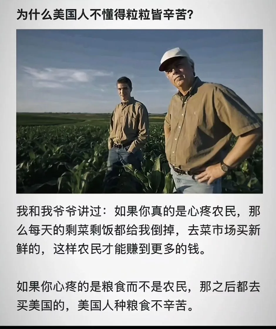 为什么美国人不懂得粒粒皆辛苦？          ⠀