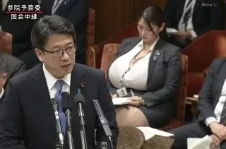 国会有点肥美