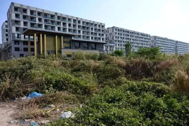 19岁、4个园区、1年地狱——阿烈终于回家了。但那些留下来的人，还在做着“赚大钱”的梦。 图片 3