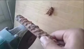 满清酷刑