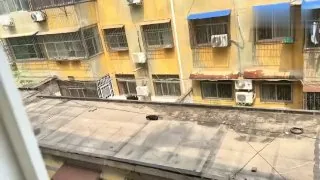 #猫猫头 🤡 献丑了 ！